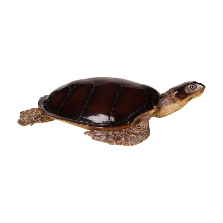 Statue de tortue - brun - 88 x 23 cm
