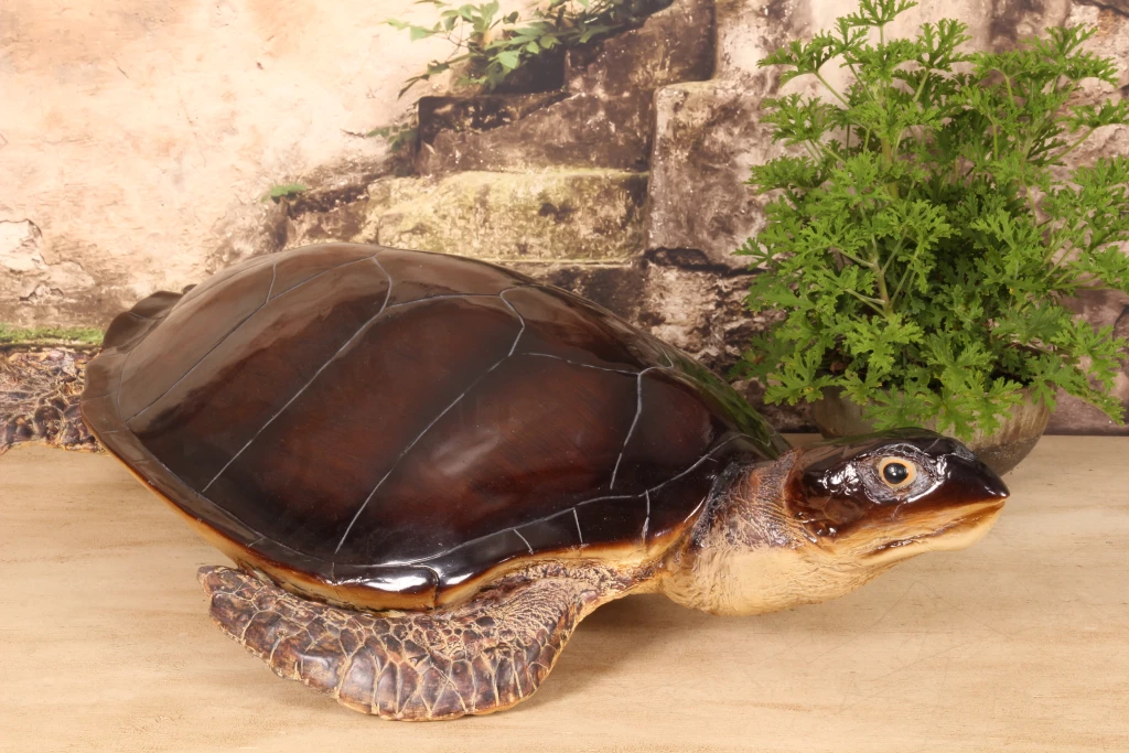 Statue de tortue - brun - 88 x 23 cm