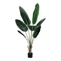 Plante artificielle Strelitzia - verte - 135 cm - 1 pièce
