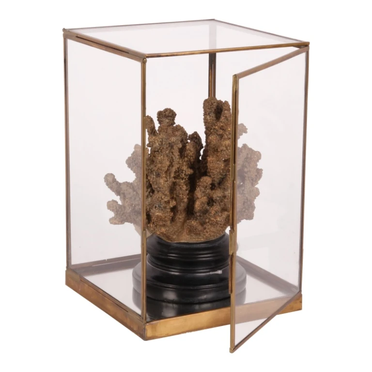 Boîte d'exposition - or - laiton et verre - 40 cm - 1 pièce